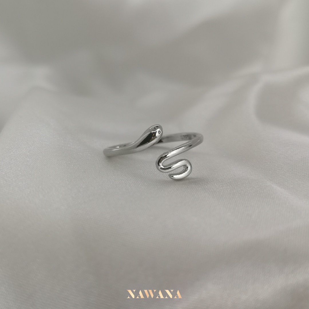 Baemi Snake Ring (뱀이)